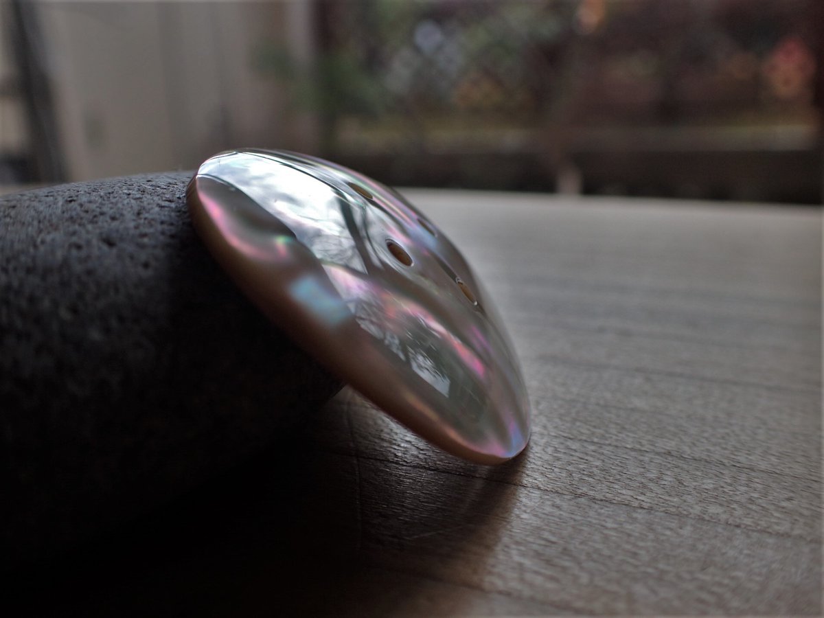 HAPPYMARINSHELL's tweet image. 久々の夜光貝ボタン🌴😁
成長痕に沿った光のグラデーションがとても美しいパーツ🌈✨
本日よりCreemaさんで販売開始しました🎊
creema.jp/item/15281349/…
どうぞよろしくお願いします🙏😆
#貝ボタン
#シェルボタン
#shellbuttons