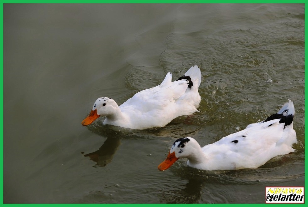 Si vamos en la dirección correcta, lo que tenemos que hacer es seguir adelante.