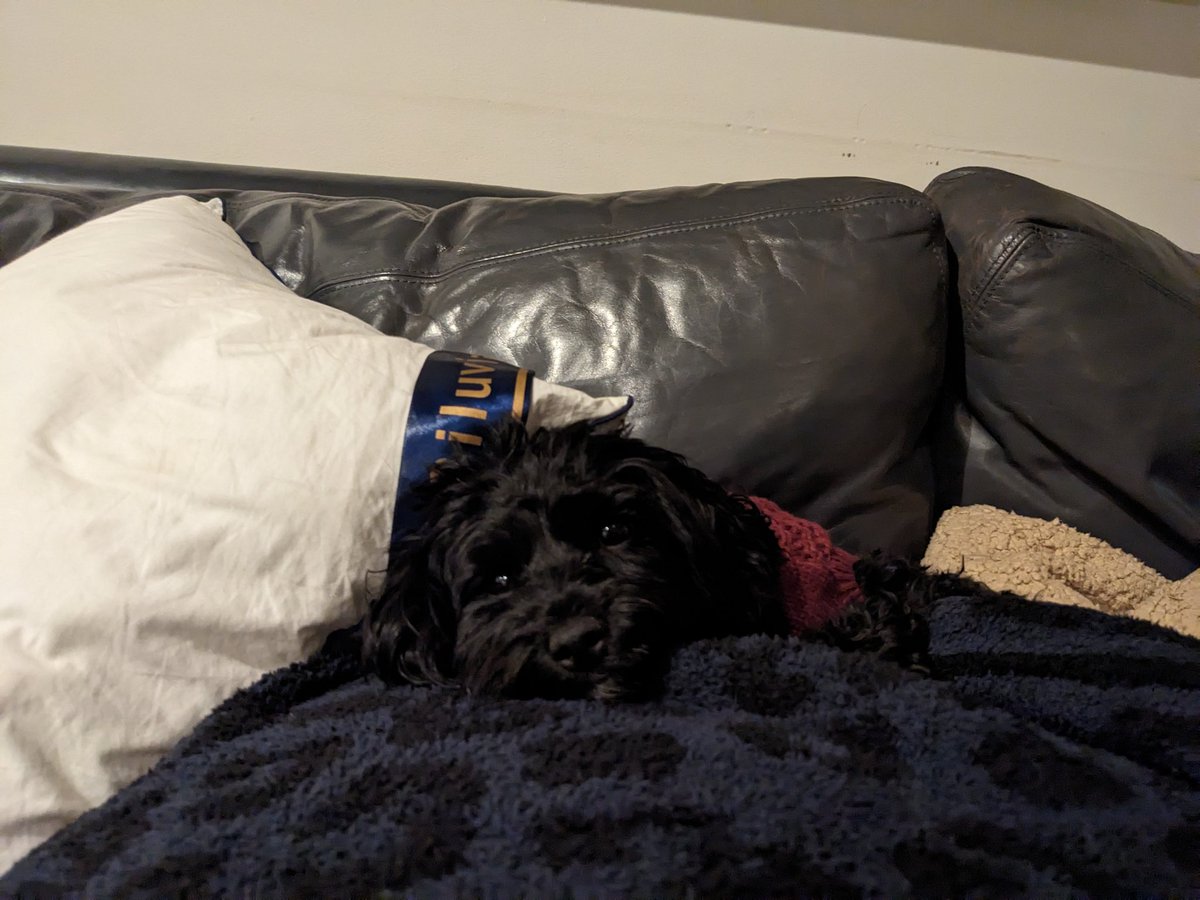 David Goldman tweet media