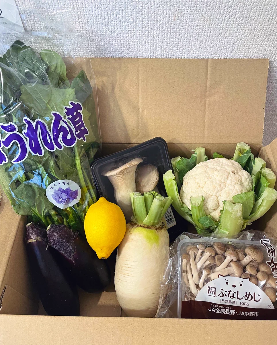 野菜レスキューセット定期便！実は¥500切っている‼