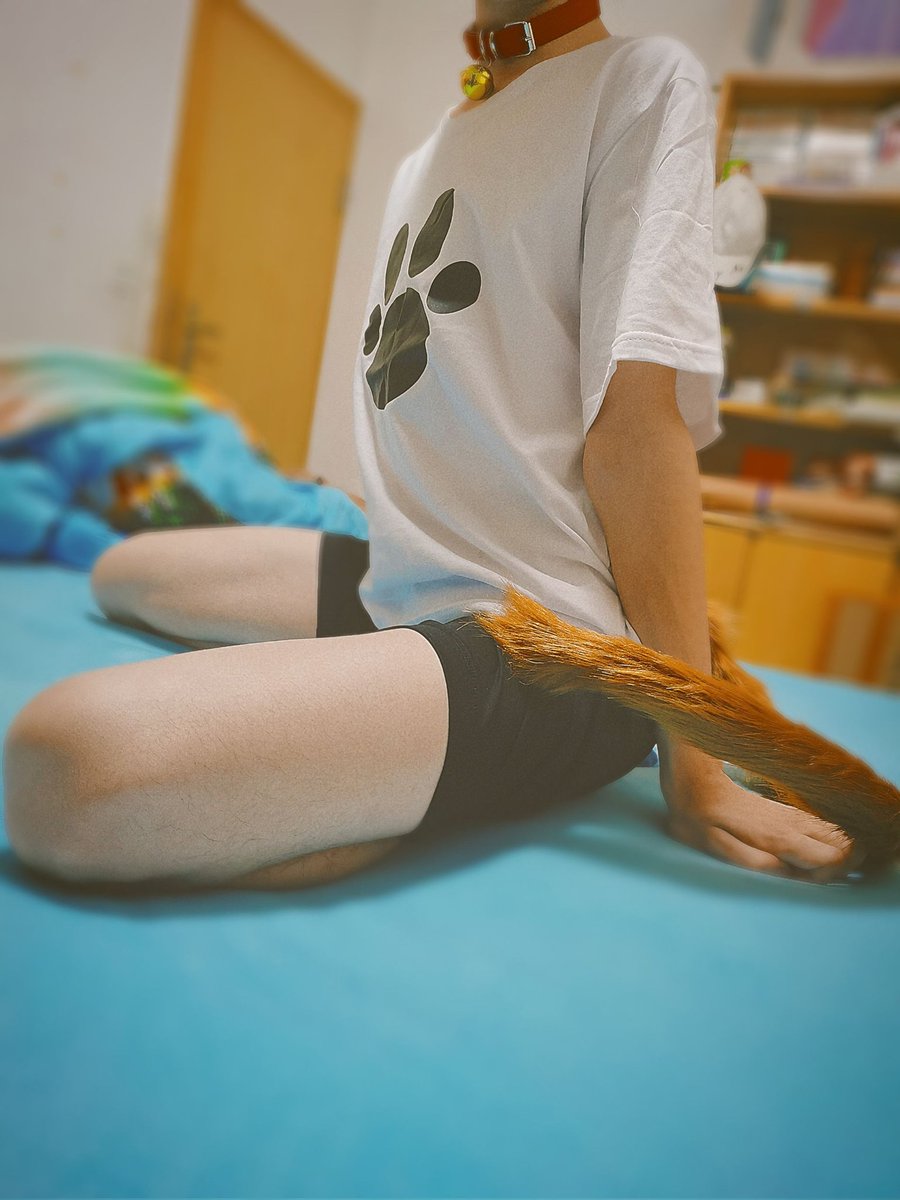 四汐丸子 tweet media