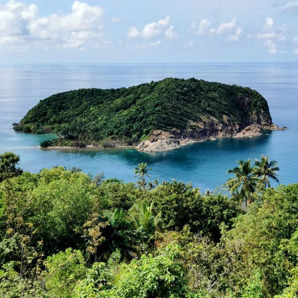 Björn Puls✨ tweet media