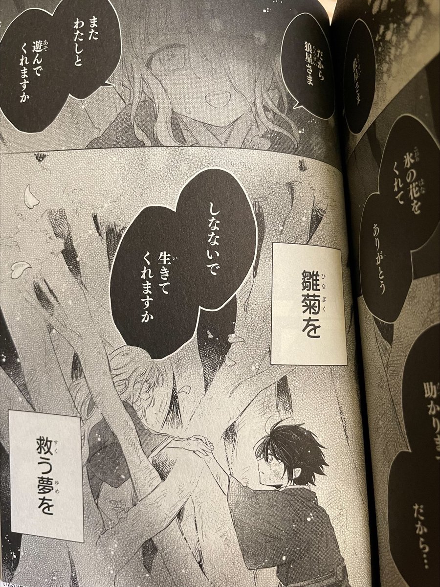 やっと春の舞のコミカライズ第一巻が届きました🌸
どのページを捲っても心を締め付けられるような美しさです。雛菊の尊さよ…春がここにいます 