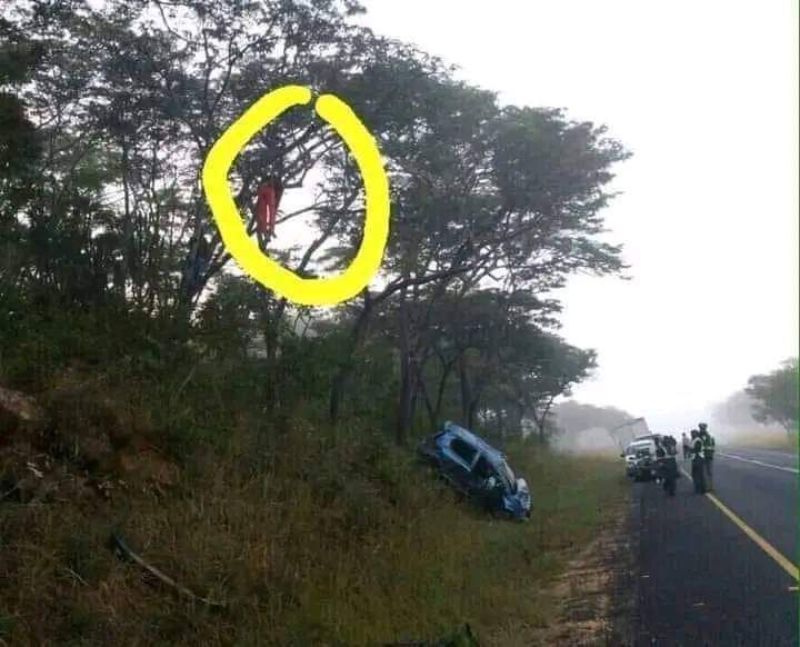 4Real_KE's tweet image. This accident was so bad that it threw the driver out of the car and literally hanged him on a tree. 
Here's the funny part , he was found alive &amp;amp; in his hands , he was tightly holding a bottle of black label 😂 !!!