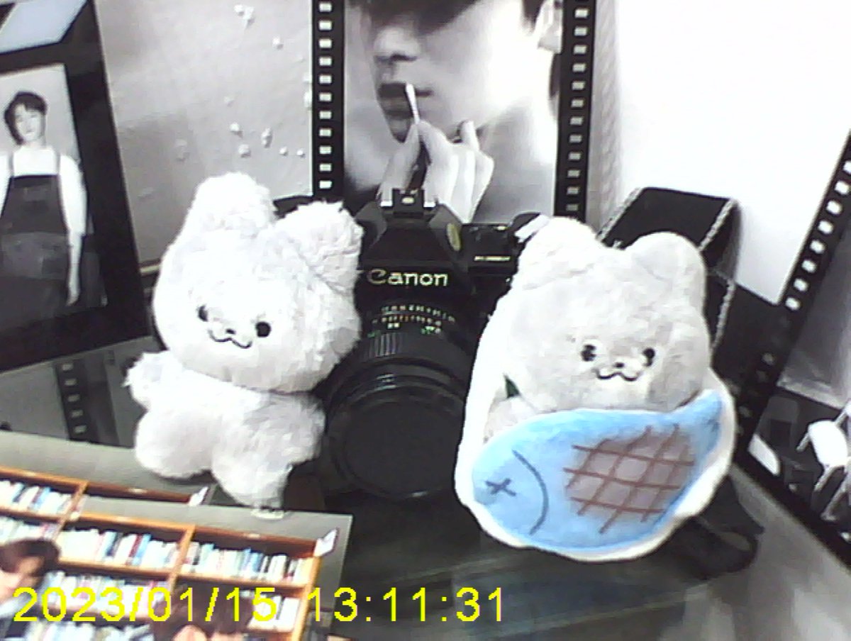 sunsetbringsjy's tweet photo. [📸] 2023.01.15 주연이 형 생일 축하해야 되니까 쥬냥이들 다 모여주세옇! https://t.co/qowQBUrlFh