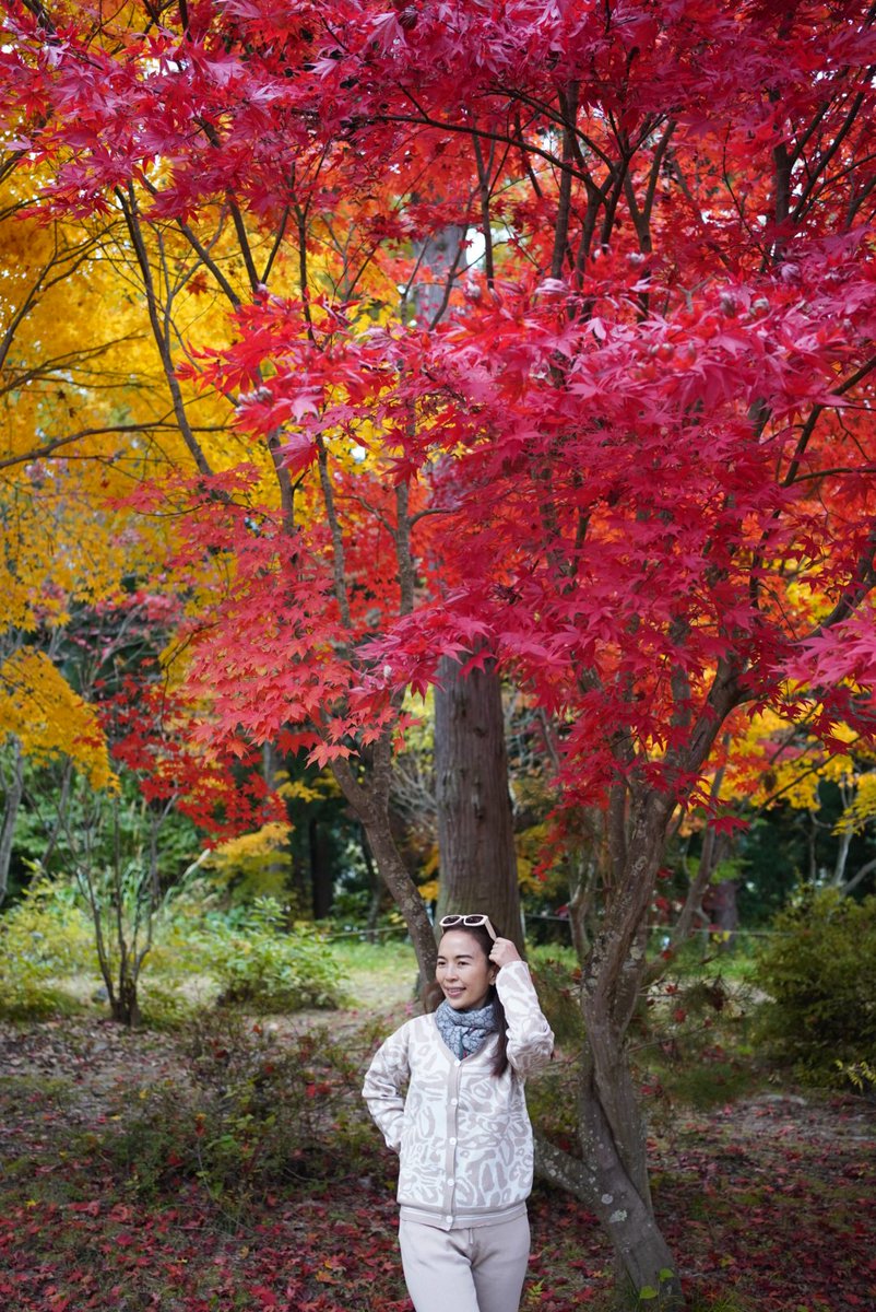 MPortraiture's tweet photo. Nagano, Japan https://t.co/5RTCCjGzIZ