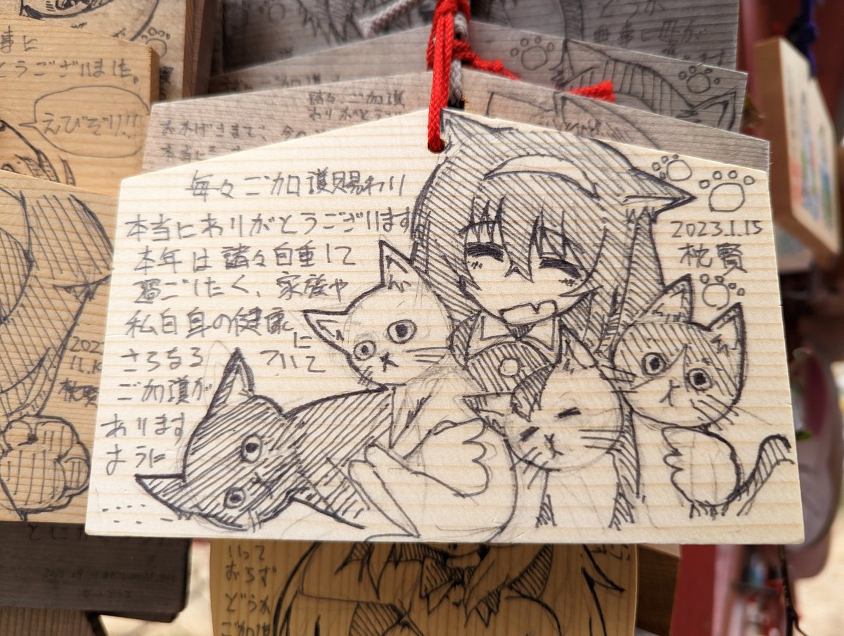 きたのよ 