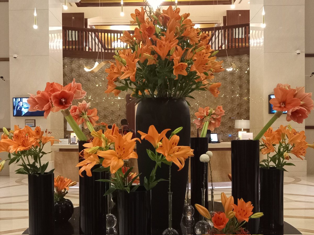 robd6723's tweet photo. Happy Weekend! Valentine's Day is coming.

#flowers #flower #flowerstagram #bouquet #bouquetofflowers #Dubai #orange #arrangement  #valentinesday2023 #valentine #Valentinesday #Love #LoveDay #Loveday2023 https://t.co/oiXwJsYotZ