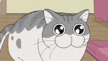 Tvアニメ 夜は猫といっしょ 公式サイト