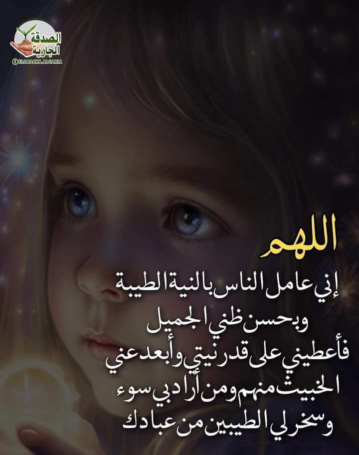 مريانا الخطيب tweet media