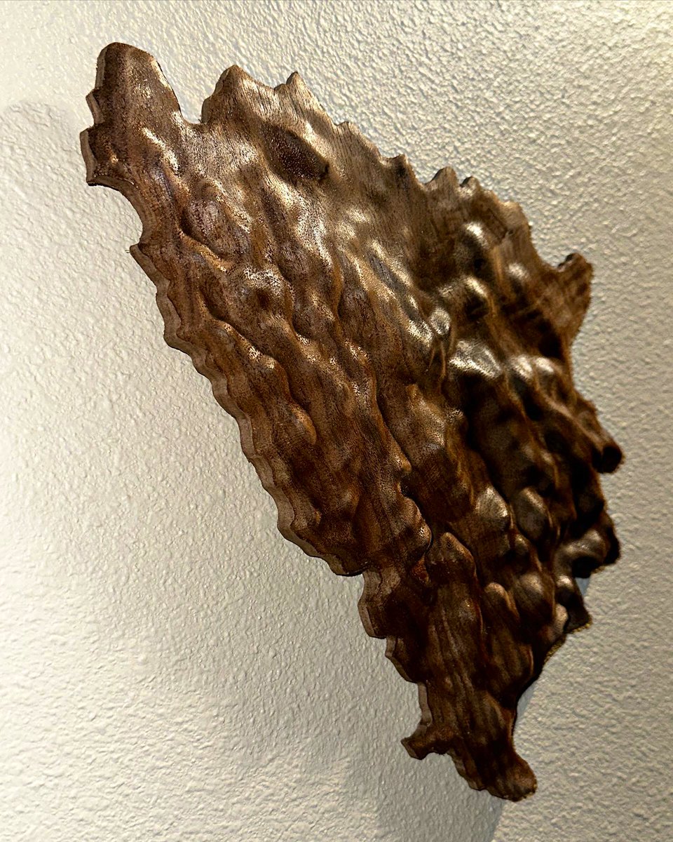 Ferrum_Studios's tweet photo. 🇧🇦 Bosnian Topography // 3D Elevation data carved out of Walnut // Available at https://t.co/IPs8rMBuOE https://t.co/UtAqaTXhKP