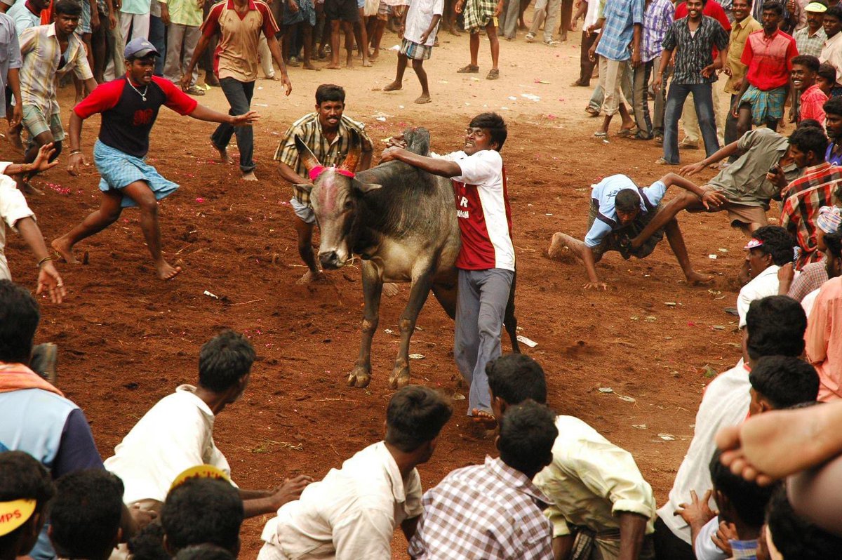 sivaperumal g @ கோ.சிவபெருமாள் tweet media