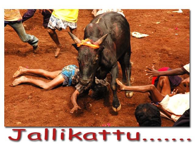sivaperumal g @ கோ.சிவபெருமாள் tweet media