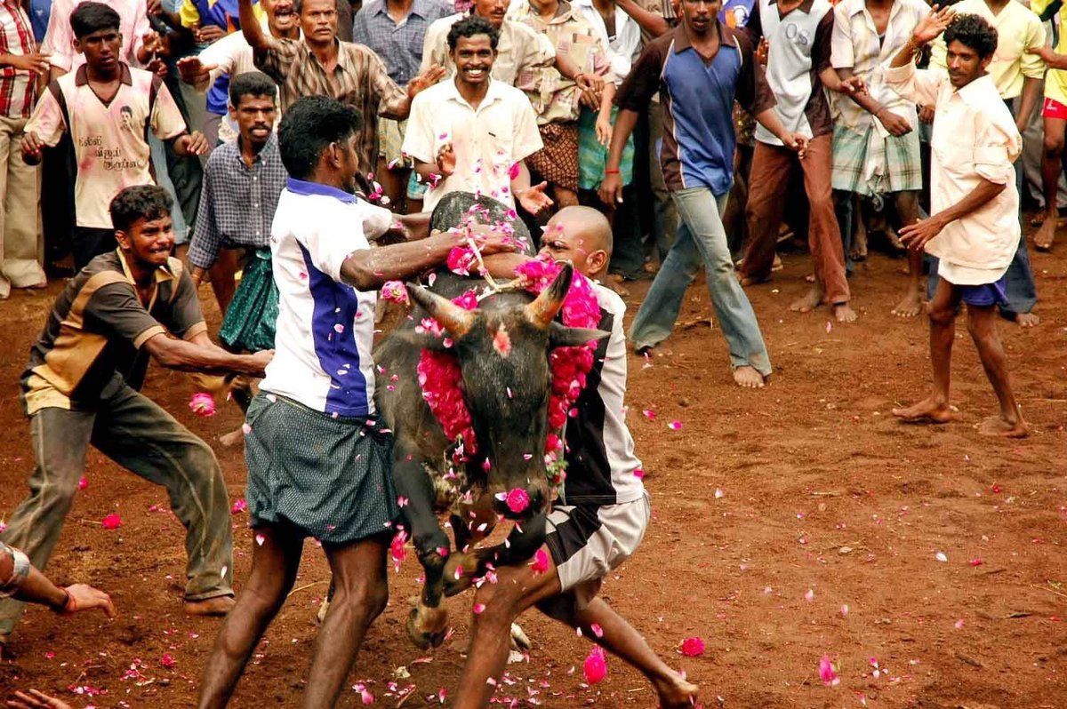 sivaperumal g @ கோ.சிவபெருமாள் tweet media