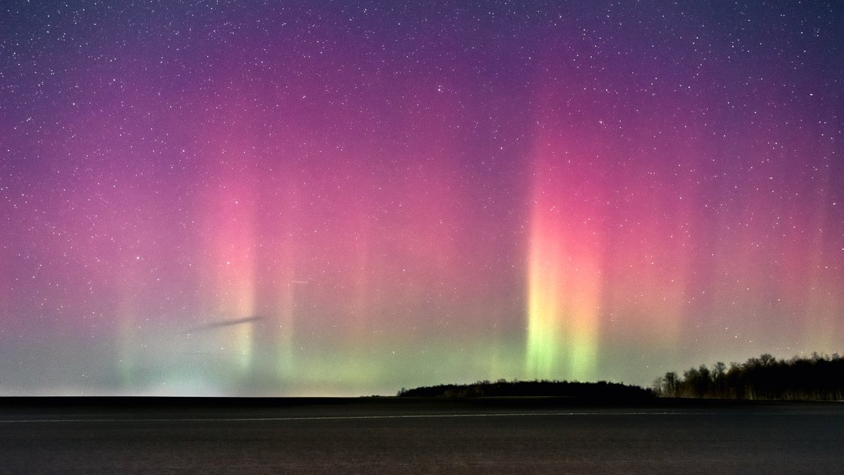jasonoyoung's tweet photo. The Northern Lights made an appearance in Southern Ontario tonight https://t.co/EmZYW4FA6l