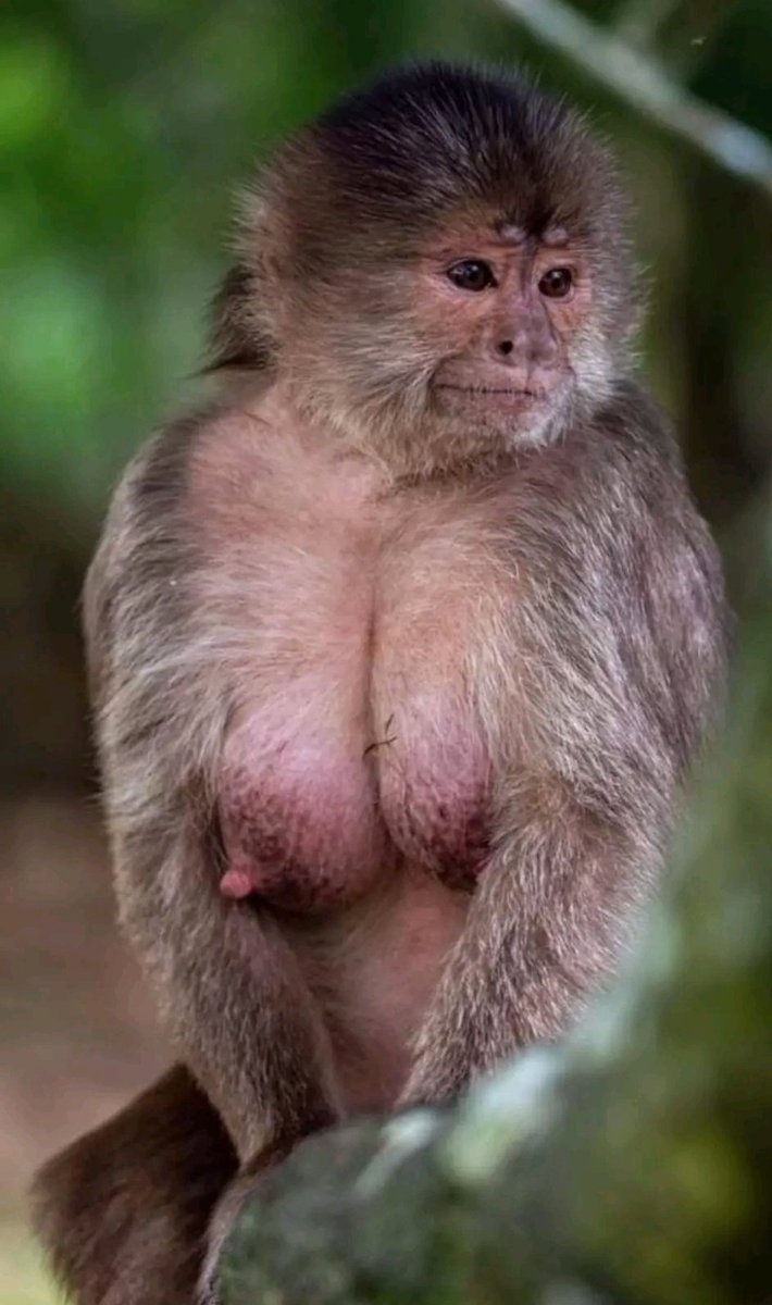 umdubulo's tweet image. When are we receiving the saved electricity?