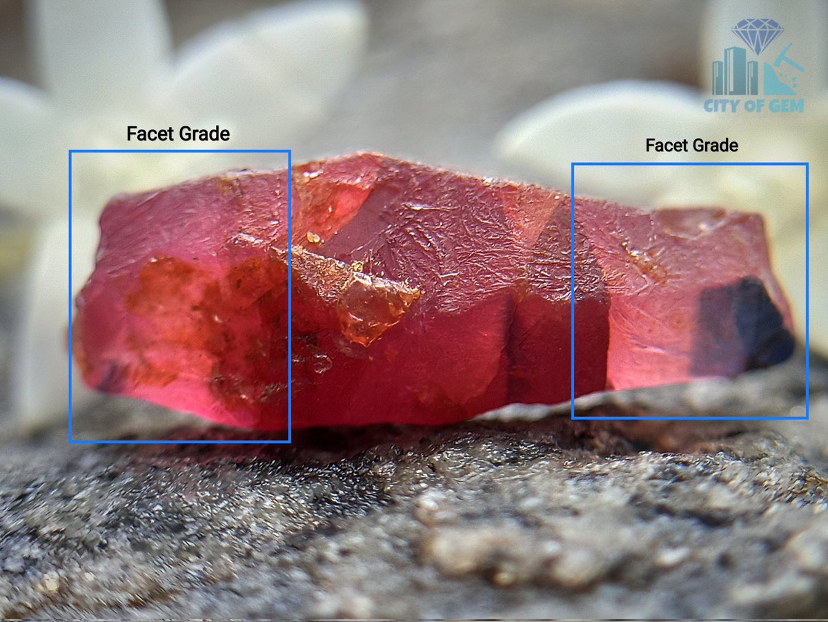 CityOfGem's tweet photo. Natural Ruby Crystal from Sri Lanka
View Product 👉 https://t.co/V8Nb80x2LF
#ruby #rubycrystal #crystal #crystalcollection #crystalgems #crystallovers #crystaladdict #crystalvibes #crystalcommunity #crystalporn #crystallover #crystals #crystalhealing #crystallove #crystalshop https://t.co/CLznJ58Kxg