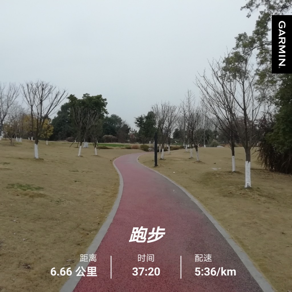 dayanging's tweet image. Weekend workout, feeling free again.
#garmin #beatyesterday