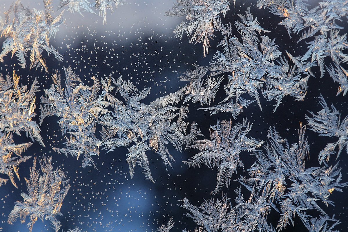 thisisFINLAND's tweet photo. When the winter weather is cold and clear, you can see little ice crystals forming. People in #Finland call them 'kuurankukka', roughly translating as frost flowers. 😍

📸 @RopponenSeija https://t.co/wkA5oRebhn