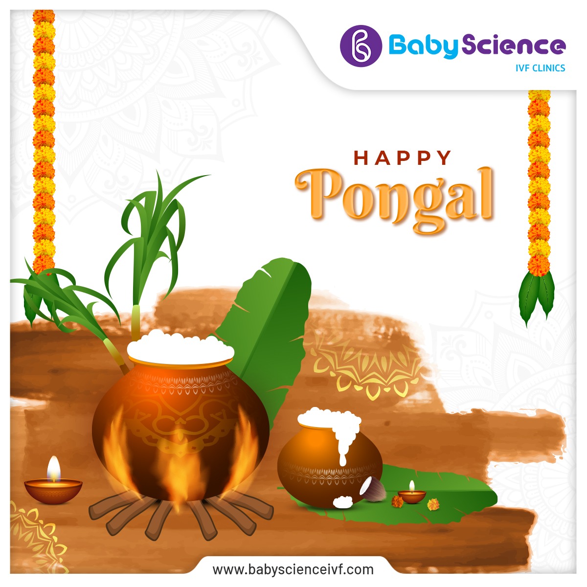 BabyScience_IVF's tweet photo. Happy Pongal. May the season of harvest open the door for light and happiness and erase all troubles from your life. 

#Pongal2023 #pongal #babyscienceivf https://t.co/vapdrUXv51