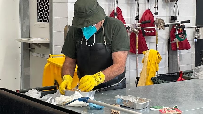 PrisonersUnion's tweet photo. NSW maximum security prisoners recycle 80 tonnes of waste, donate proceeds to charity >> https://t.co/qLfzjlyNOO - A recycling initiative at a New South Wales prison has diverted almost 80 tonnes of waste from landfill while raising vital funds for #homelessness services. #nswpol https://t.co/56a9lPJ92S