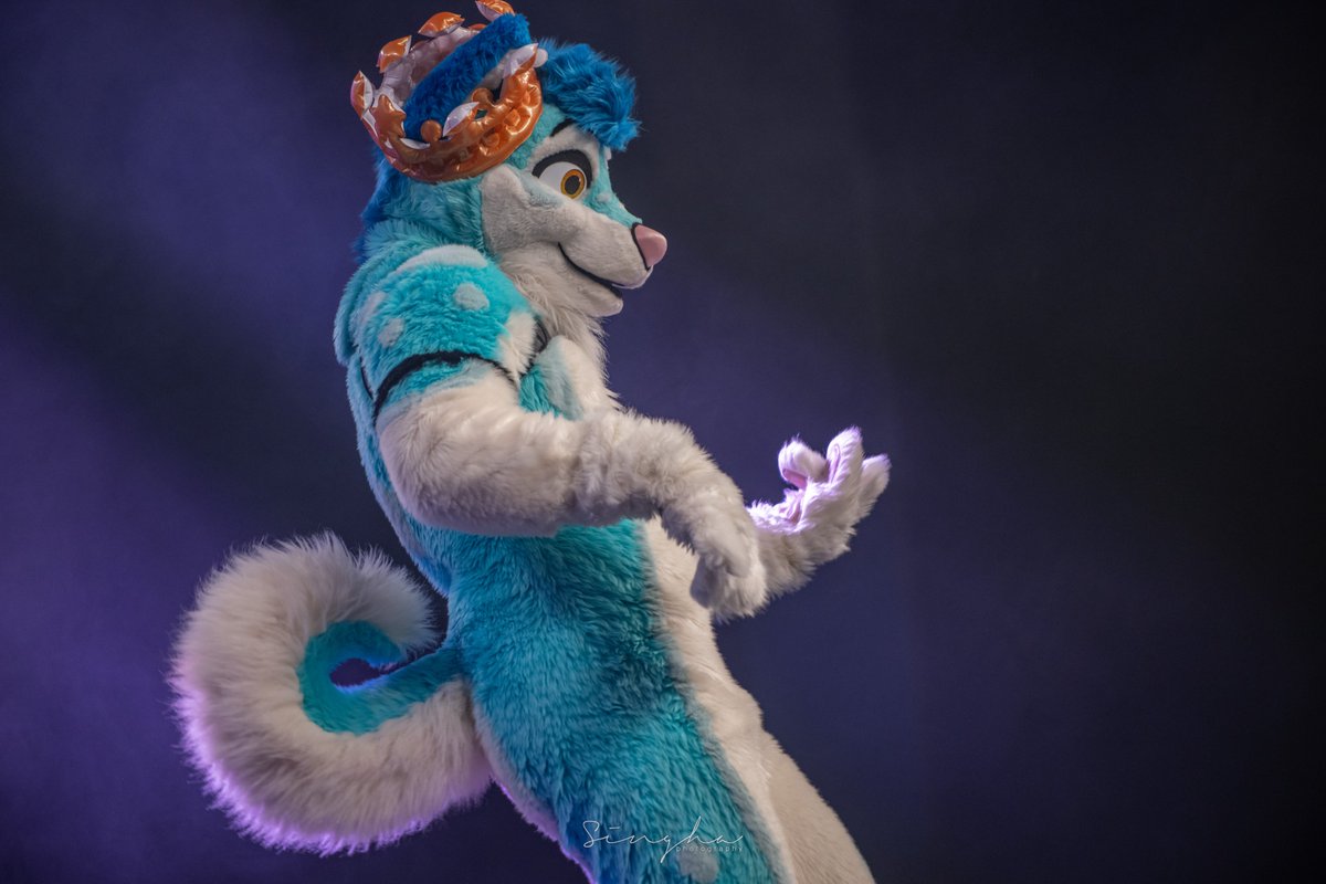 Blusicurl's tweet photo. What an incredible show of talent every time I photograph any dance competition!

The amount of amazing talents in our fandom is unbelievable! In my eyes, anybody that put themselves on the big stage is always a winner~ 😊

🐶: @FlukeHusky 
#FC2023 @furcon https://t.co/qwovvfezge