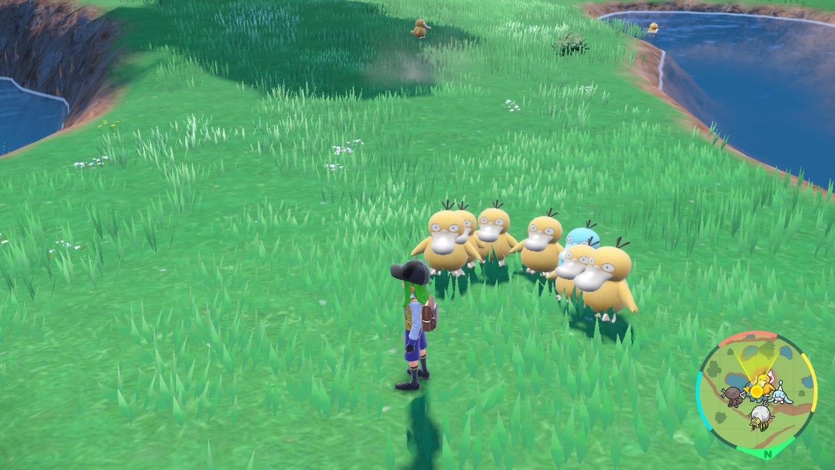 fifthcounter's tweet photo. 野生のコダック可愛い！(2回目)
 #ポケモンSV #NintendoSwitch https://t.co/NIFQNsDfDW