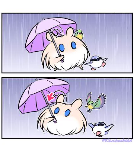 994日目 雨の日私のチャームポイントが!? 