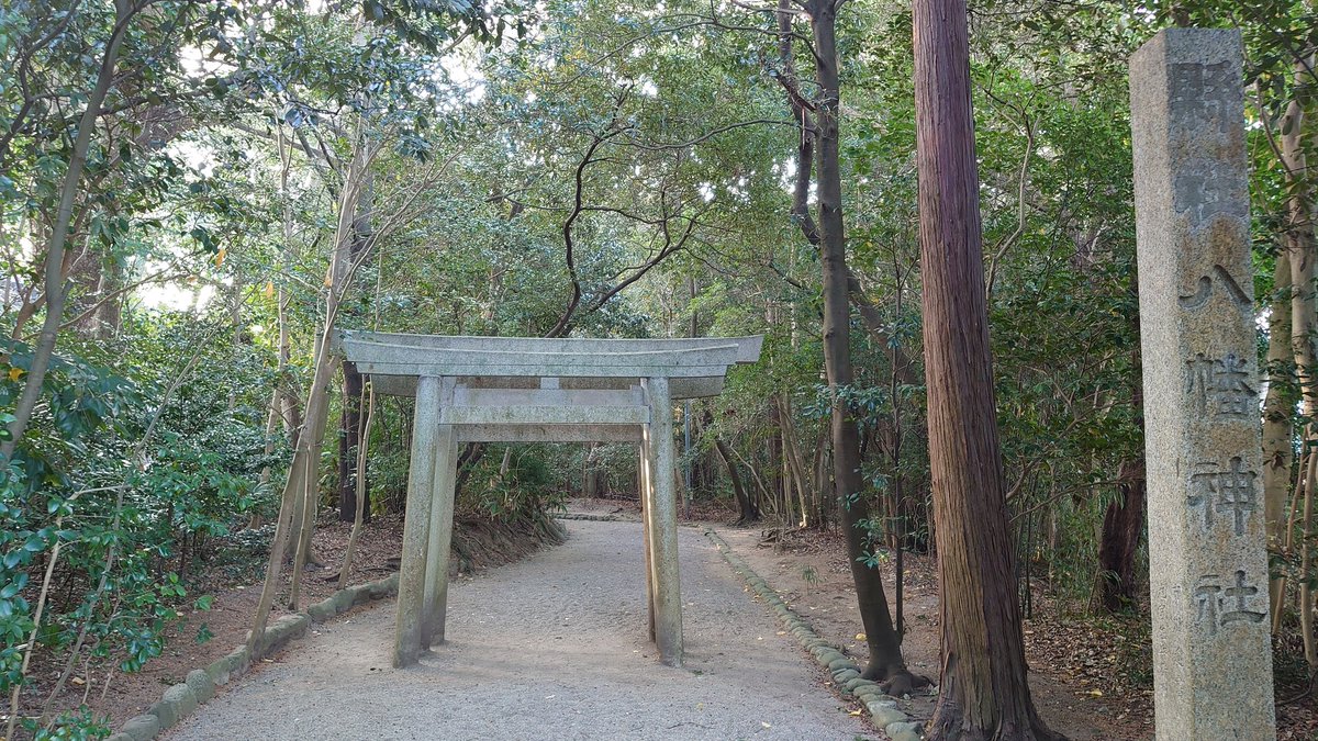 0067c0Sym's tweet photo. 津市の津八幡宮
社叢に松が植えられ、参道に白砂が敷かれていると海まで来たのだと感じる
駐車場のある裏手の参道から入る際にくぐる鳥居が小さめで、周囲の松林に埋もれてひっそりと佇んでいた https://t.co/QOG41JG1w2