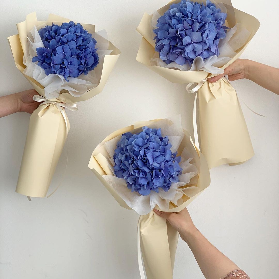 KoHanaae's tweet photo. Beep-beep! A beautiful package has been sent to you ♡

To: @yujiminp @mxnjeongie @dgiseIIe 
💌 : Vaespa, I miss you all so badly. 
Order: Blue Hydrangea, Blue Chrysanthemum, Blue Baby Breath
From: Ningie. https://t.co/q5l8K8arFq