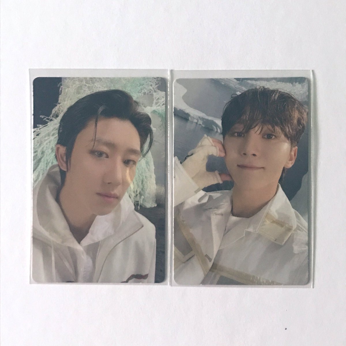J.~🐢🦦🐱 NUEST 5EVER tweet media