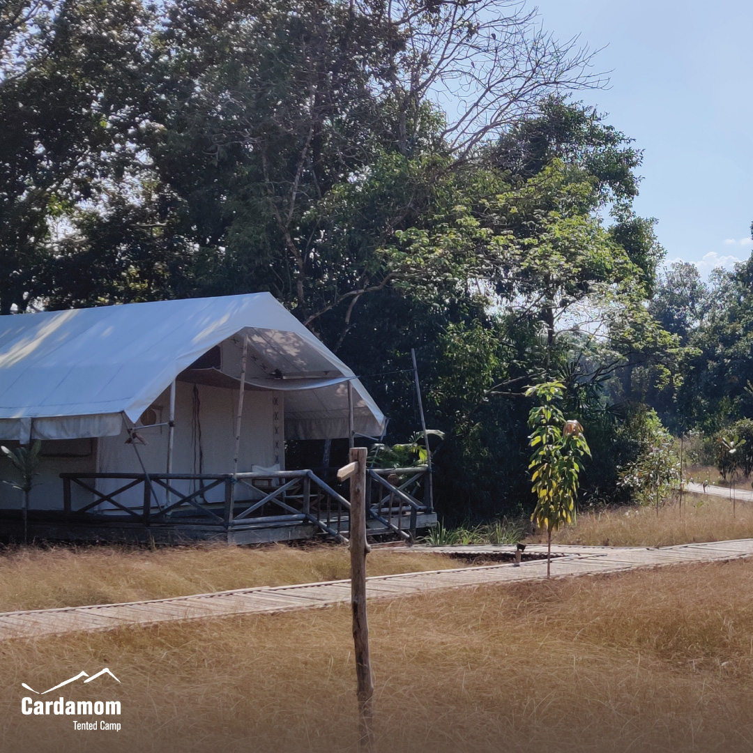 cardamomtent's tweet photo. "This was a beautiful place to stay for a few days." - Keith Turner, reviewed on Google

#CardamomTentedCamp #travel #sustainable #ecotourism #RestarTourism #YourStayKeepstheForestStanding https://t.co/8DtCQ5ZEqo