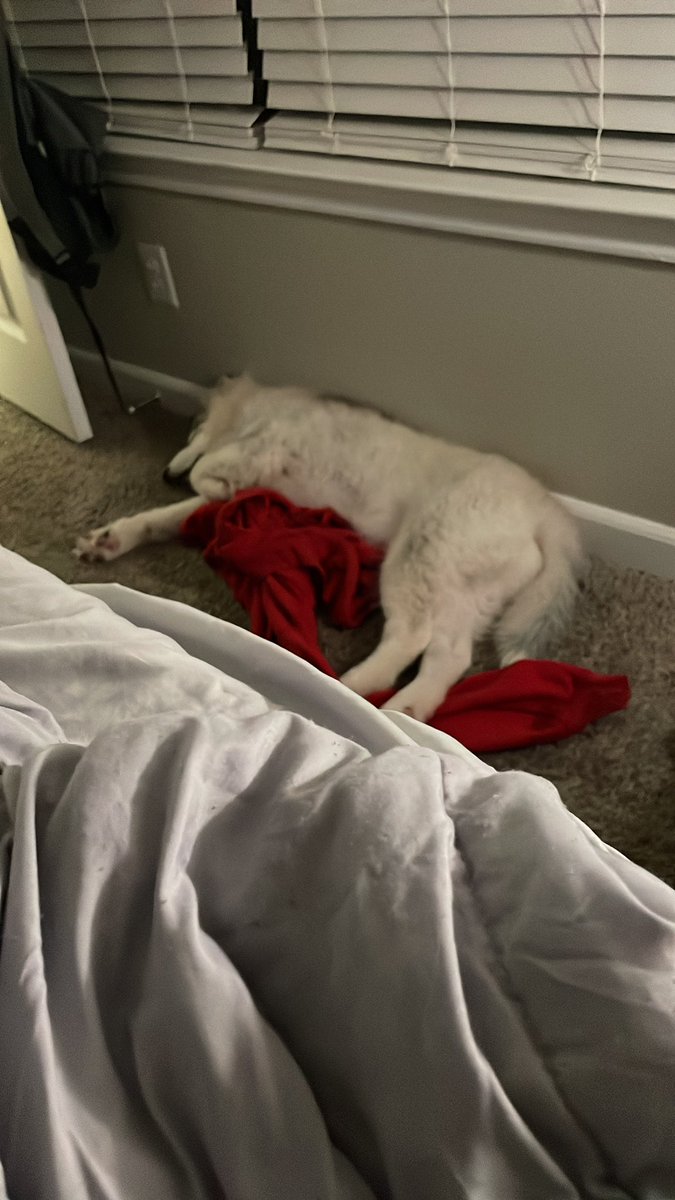 thatsbobbyghost's tweet photo. He gotta have something of mine to fall asleep with. https://t.co/TzdbUXLYtj