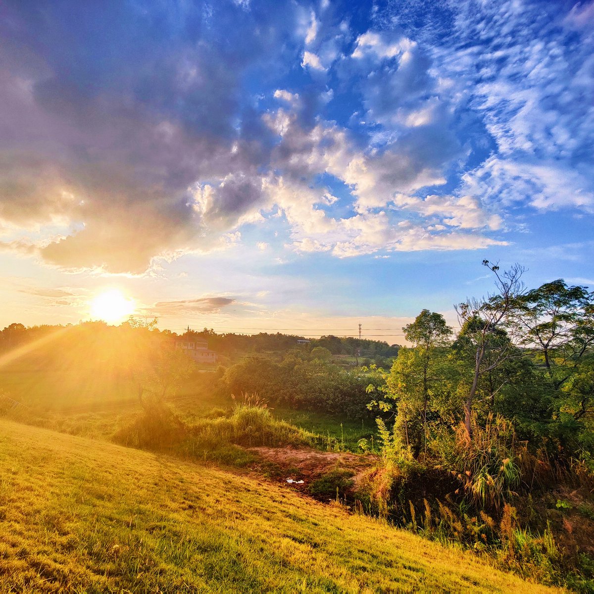 #新头像