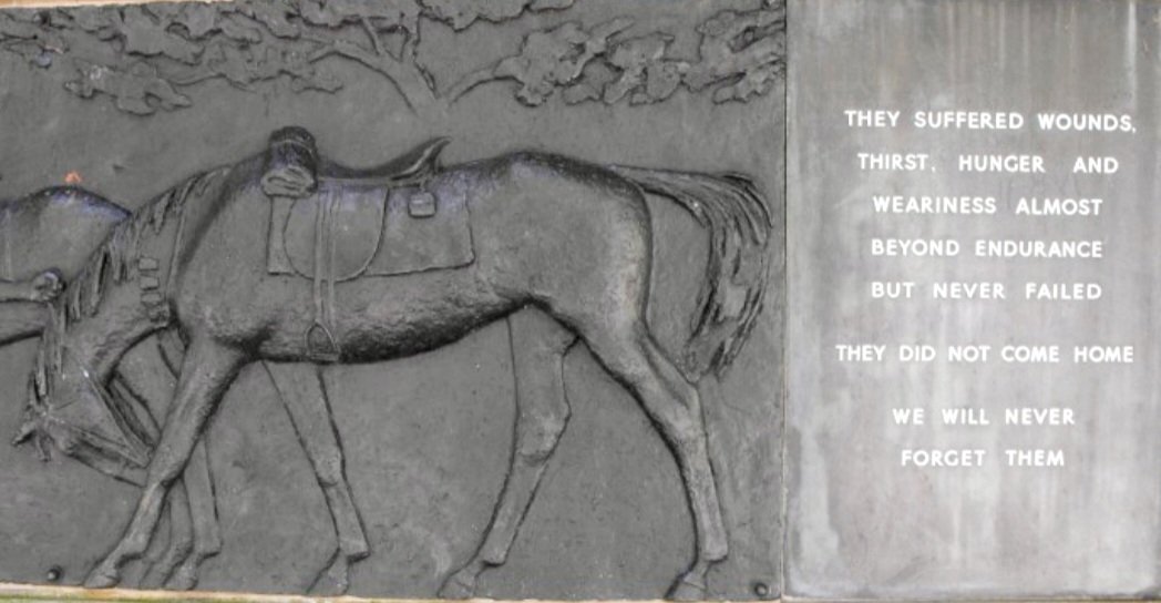 TheGhostRider31 on Twitter "RT mahendr80843057 The gallant horses of the Egyptian