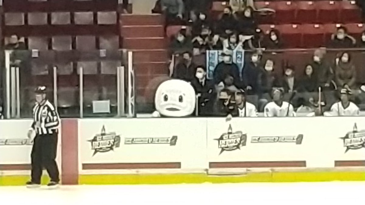 ryugasakitaro's tweet image. イルカの生首(笑)
#アイスホッケーヒーローズ2