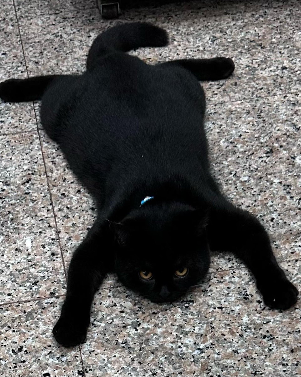 =͟͟͞͞☆ (@_foxrj323) on Twitter photo 