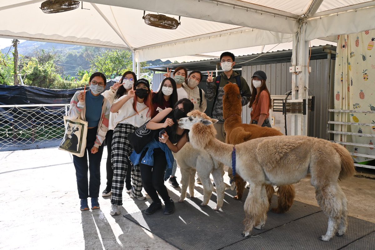 cityu_vms's tweet photo. Thank you all for joining our first #buddyprogramme this year! Hope you all had fun with the #alpaca, #goat and #rabbits and learnt more about them at the farm!🦙🐐🐇❤️

#cityuvms #cityubvm https://t.co/o7iuBGtAA0