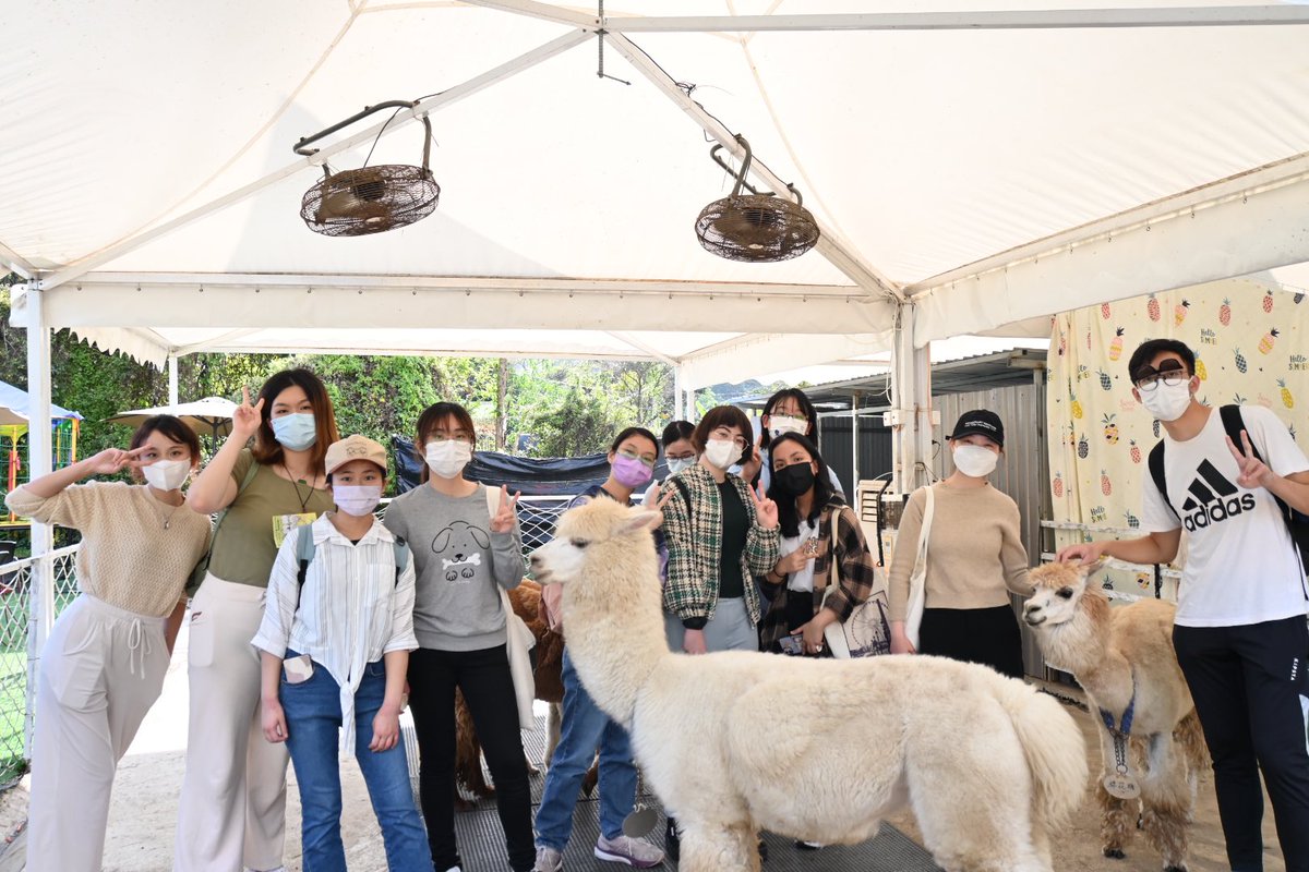 cityu_vms's tweet photo. Thank you all for joining our first #buddyprogramme this year! Hope you all had fun with the #alpaca, #goat and #rabbits and learnt more about them at the farm!🦙🐐🐇❤️

#cityuvms #cityubvm https://t.co/o7iuBGtAA0