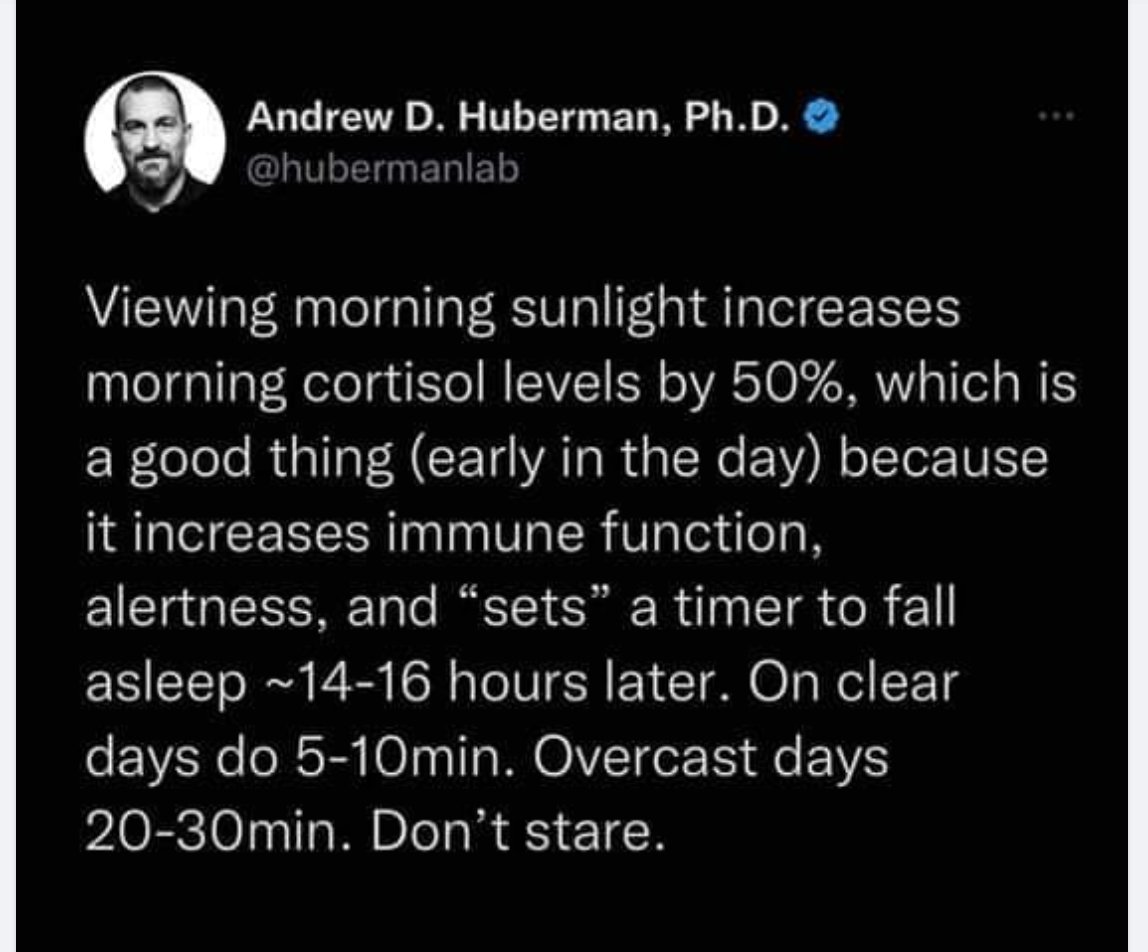 #sundayvibes #morningsunlight Thanks to @hubermanlab #getoutside #getoutdoors #fitover60 #brainhealth