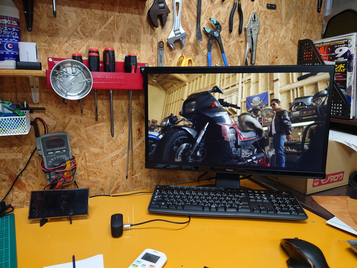 ネコスキー(GPZ900R) tweet media