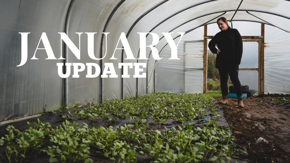 Origin Flowers tweet media