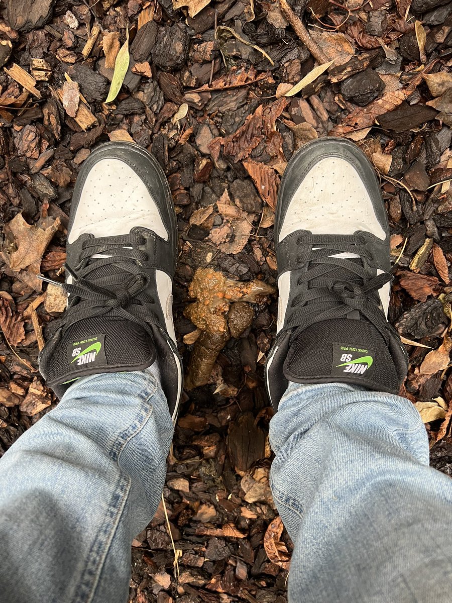 GM GM especially to my fellow sneakerheads in the space, hope not to ruin your breakfast. @jeffstaple will hate me for this…or get a #feetpixwtf idk 🤧#sneakers #kicks #nikesb #sbdunks #stapledunk #pigeondunk #womft #dogshit