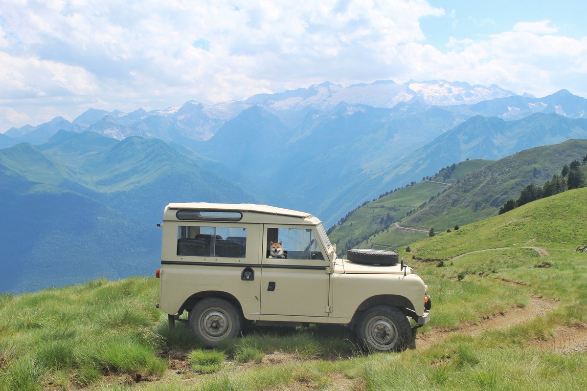Freedombe4Peace's tweet photo. @harryelsocio Land Rover Santana, auténtico hierro que nos lleva a todos los rincones del pirineo. Una superreductora que te sube a un árbol. 20 años lo usamos sin dirección asistida creyendo que no tenía hasta que vimos que lo que estaba era seco de aceite. Gasolina con plomo usa.
#fuckSUV https://t.co/utrboEolfN