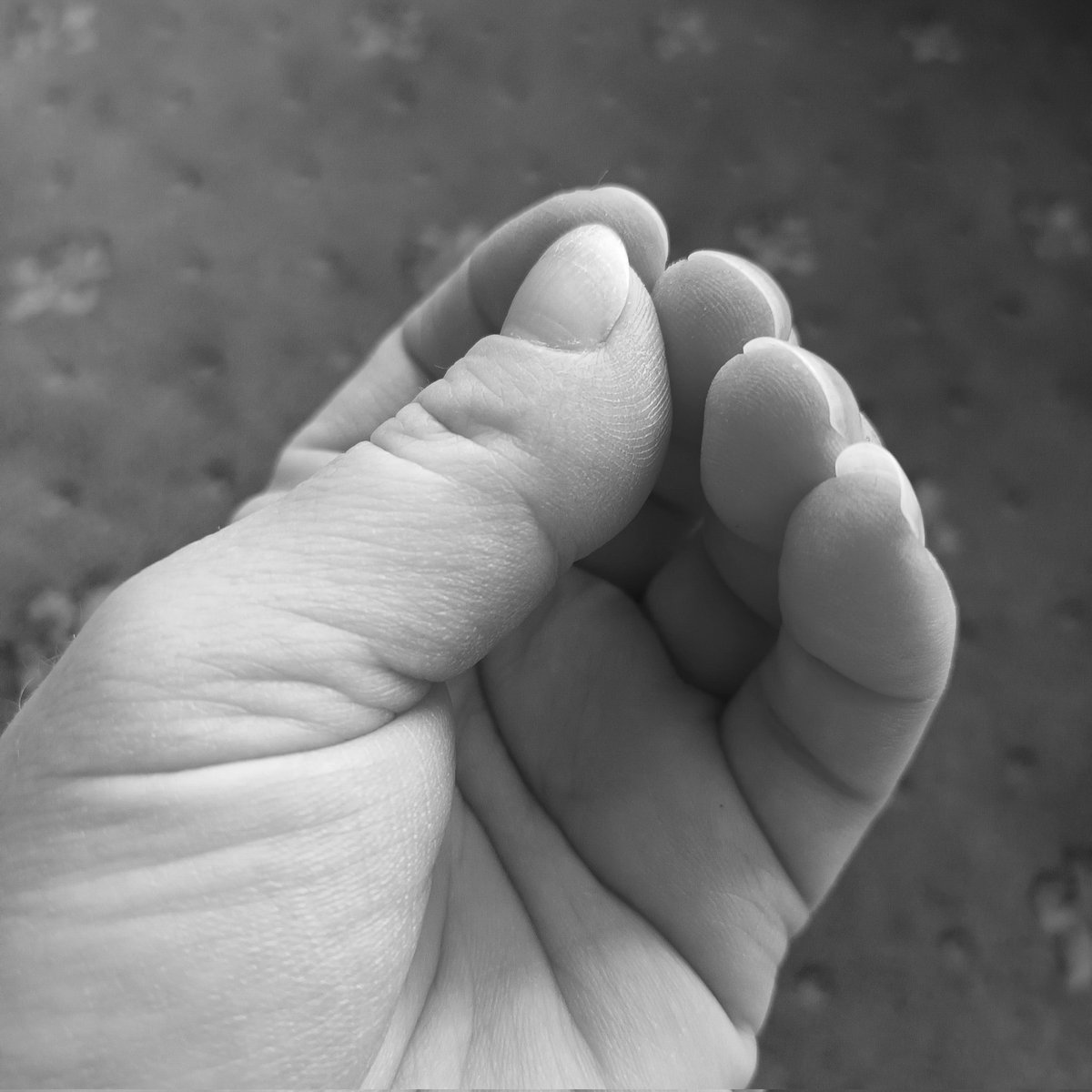 misstoethumb's tweet photo. Good afternoon. These hands are doing far better after some TLC moisturising.
Bit of dry oil later.
#TLC #hands #thumbs #fetish
#nails https://t.co/fkiPDkZ5dx