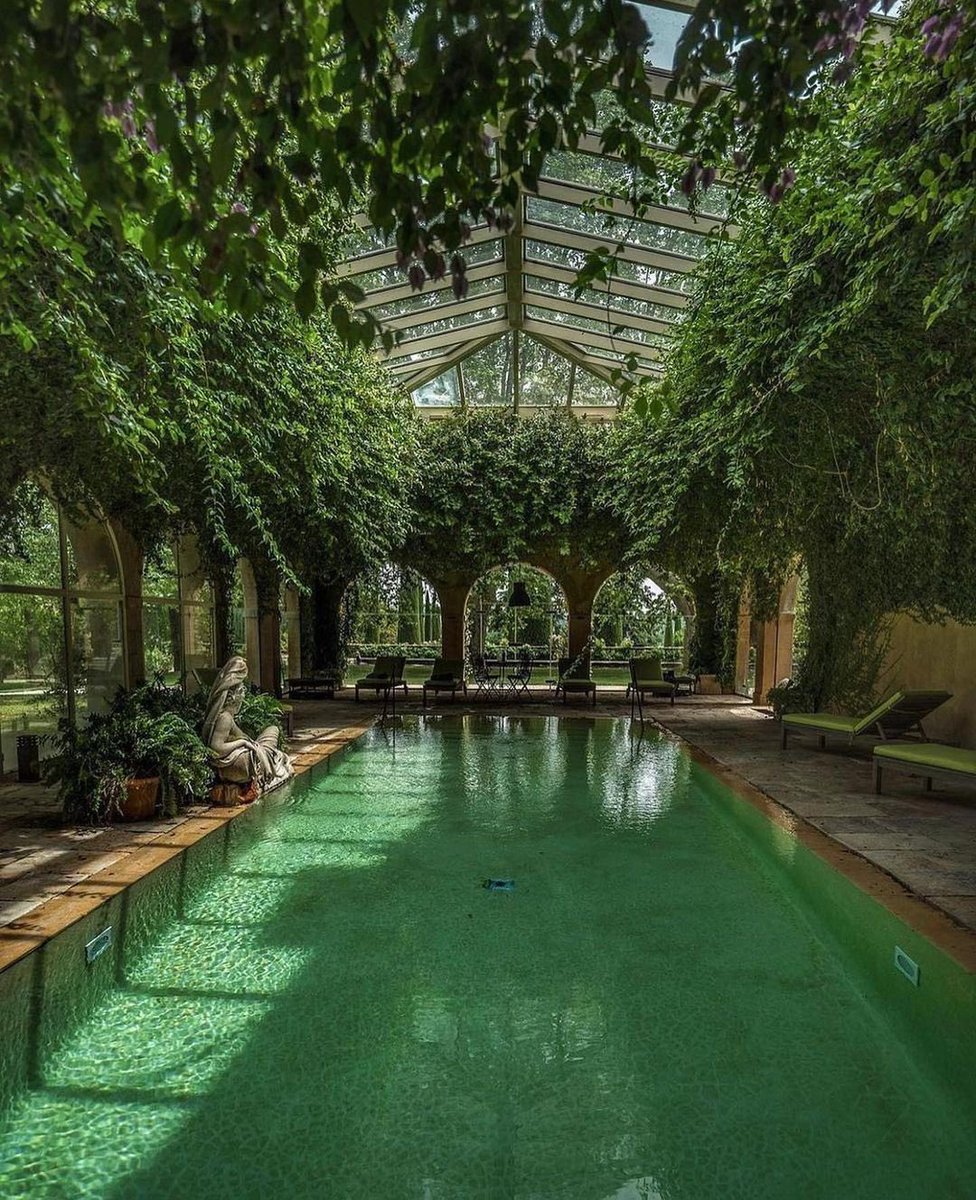 tmbIrpics's tweet photo. Stunning pool 🍃 https://t.co/uoaFl32Uvu