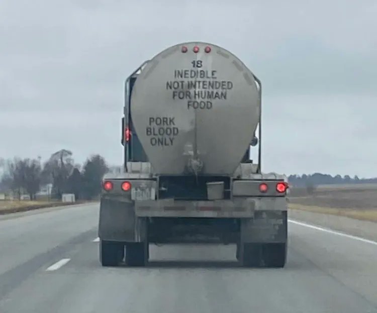 Why do we live in a world where it's normal to see trucks literally carrying tons of PIG BLOOD?

One day, future generations will look back and say "I can't believe they used to eat animals."