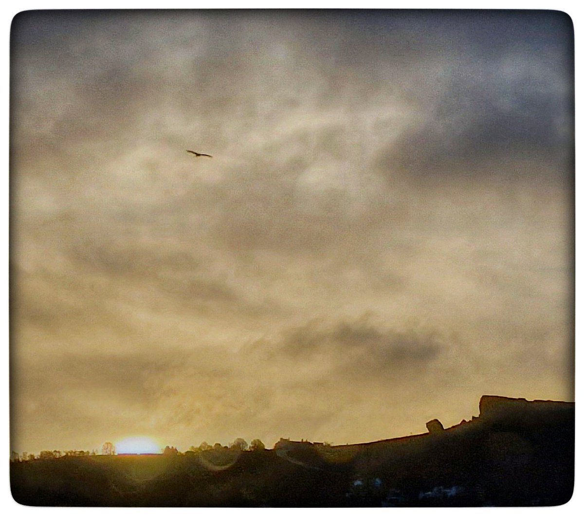 Peepers_110170's tweet photo. @IlkleyGazette A Red Kite soars high in the sky while enjoying a stunning Sunday sunrise.
#sunrise #daybreak #ilkley #sunrise_sunset_photogroup #visitbradford #goldenhour #RedKite #joyful_sky #sunrisewatching https://t.co/dMtxunjaGL