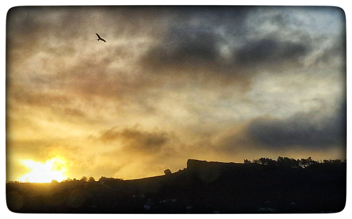 Peepers_110170's tweet photo. @IlkleyGazette A Red Kite soars high in the sky while enjoying a stunning Sunday sunrise.
#sunrise #daybreak #ilkley #sunrise_sunset_photogroup #visitbradford #goldenhour #RedKite #joyful_sky #sunrisewatching https://t.co/dMtxunjaGL