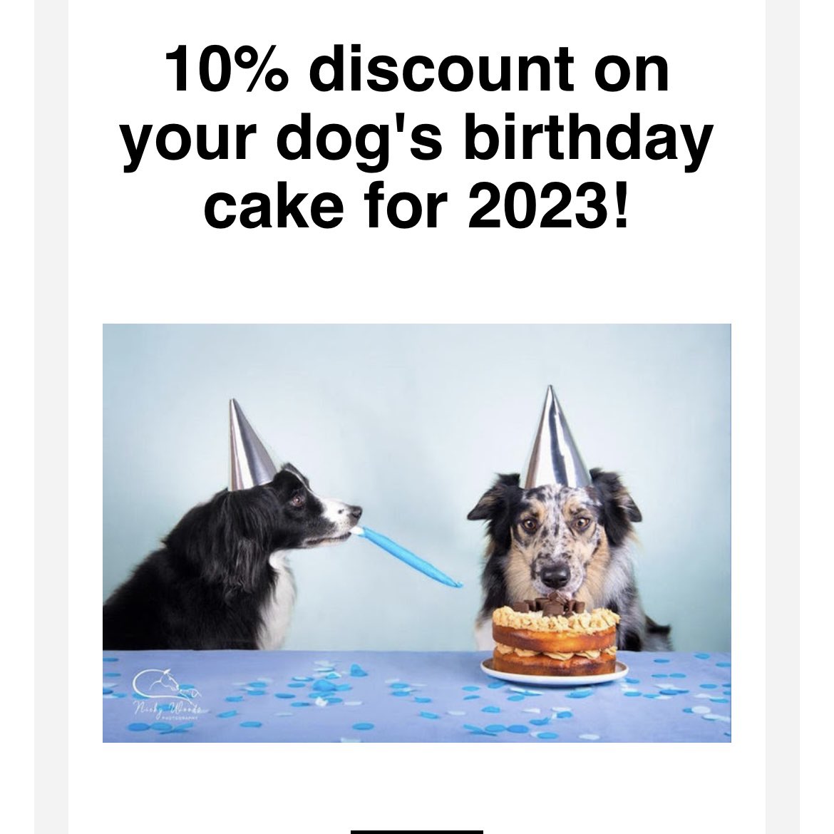 If you’ve shopped with us before, please look out for our email with a 10% discount code for you! #pupcakes #dogcake #dogbirthday #dogbakery #doglovers ❤️🐾